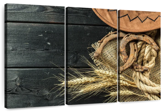 Cowboy Hat And Horseshoe Wall Art