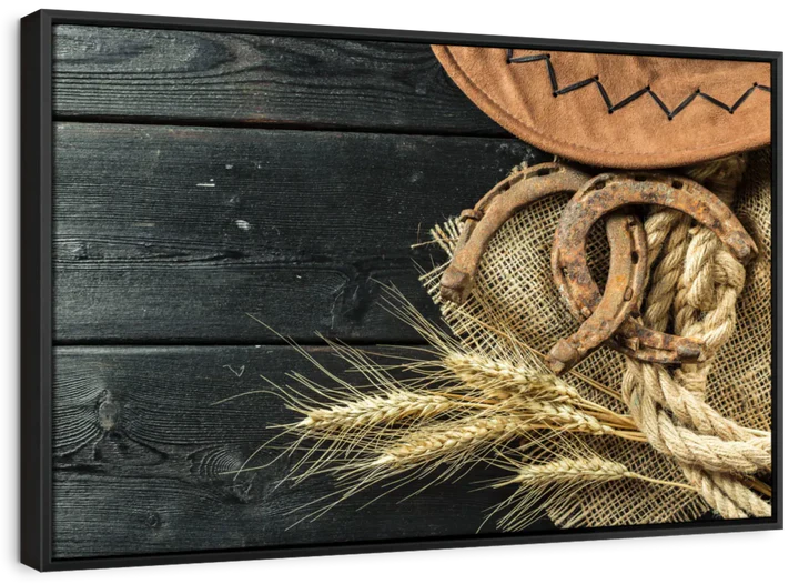 Cowboy Hat And Horseshoe Wall Art