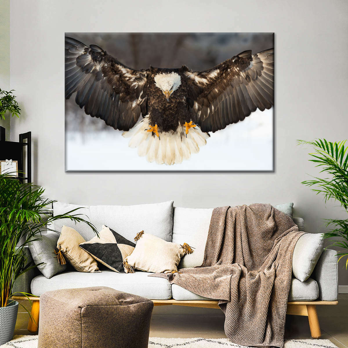 Bald Eagle Landing Wall Art choice of sizes