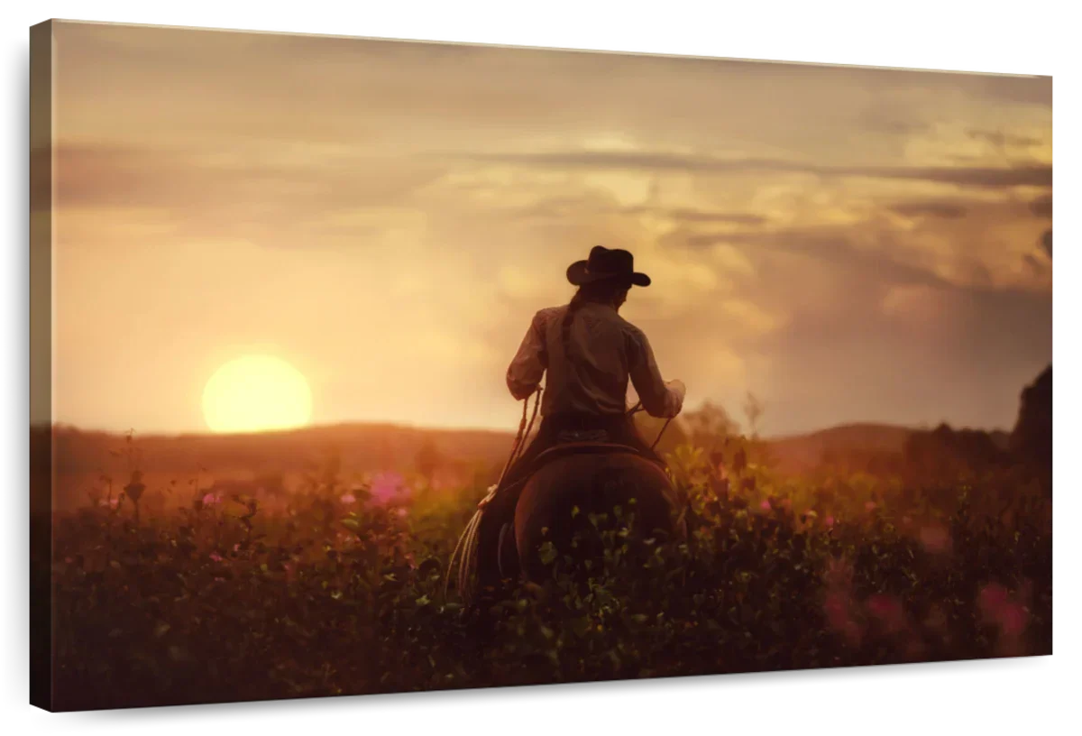 Cowboy And Horse Wall Art