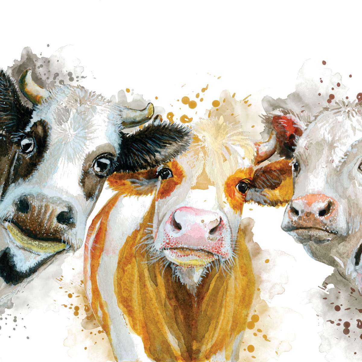 Livestock Cows Splash Wall Art choice of sizes