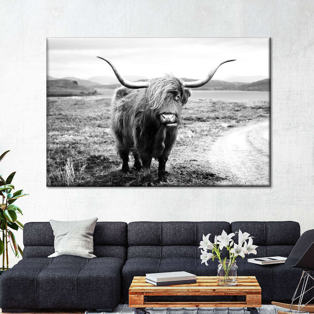 Highland Bull Wall Art