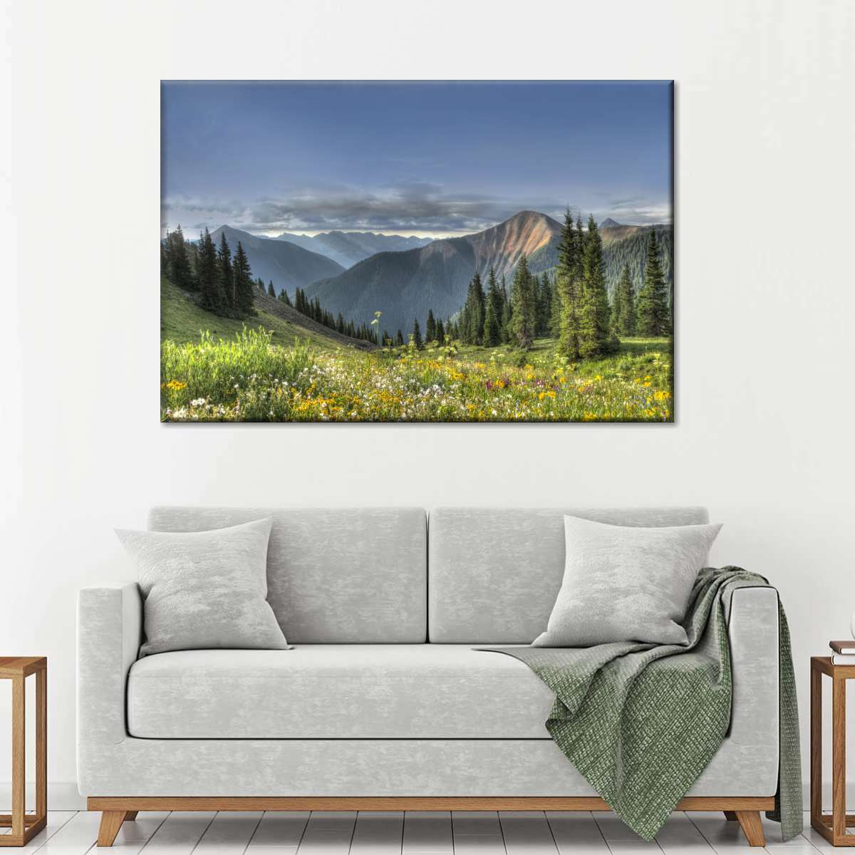 Rocky Mountain National Park Meadow Wall Art