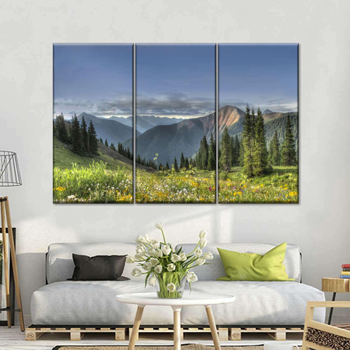 Rocky Mountain National Park Meadow Wall Art