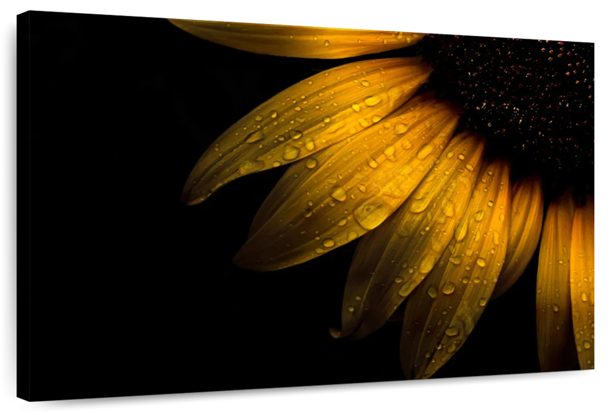 Sunflower Water Wall Art choice of sizes