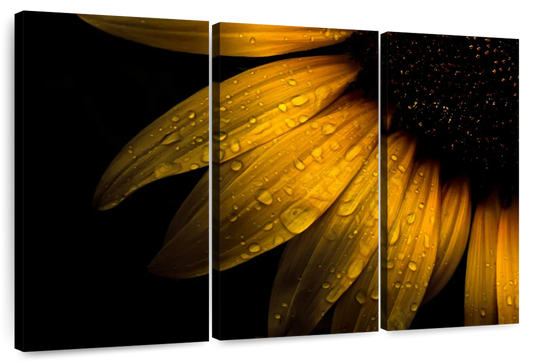 Sunflower Water Wall Art choice of sizes