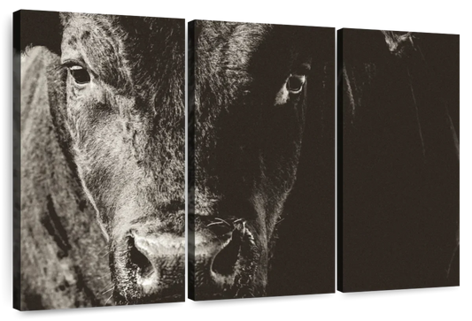 Black Angus Bull Wall Art