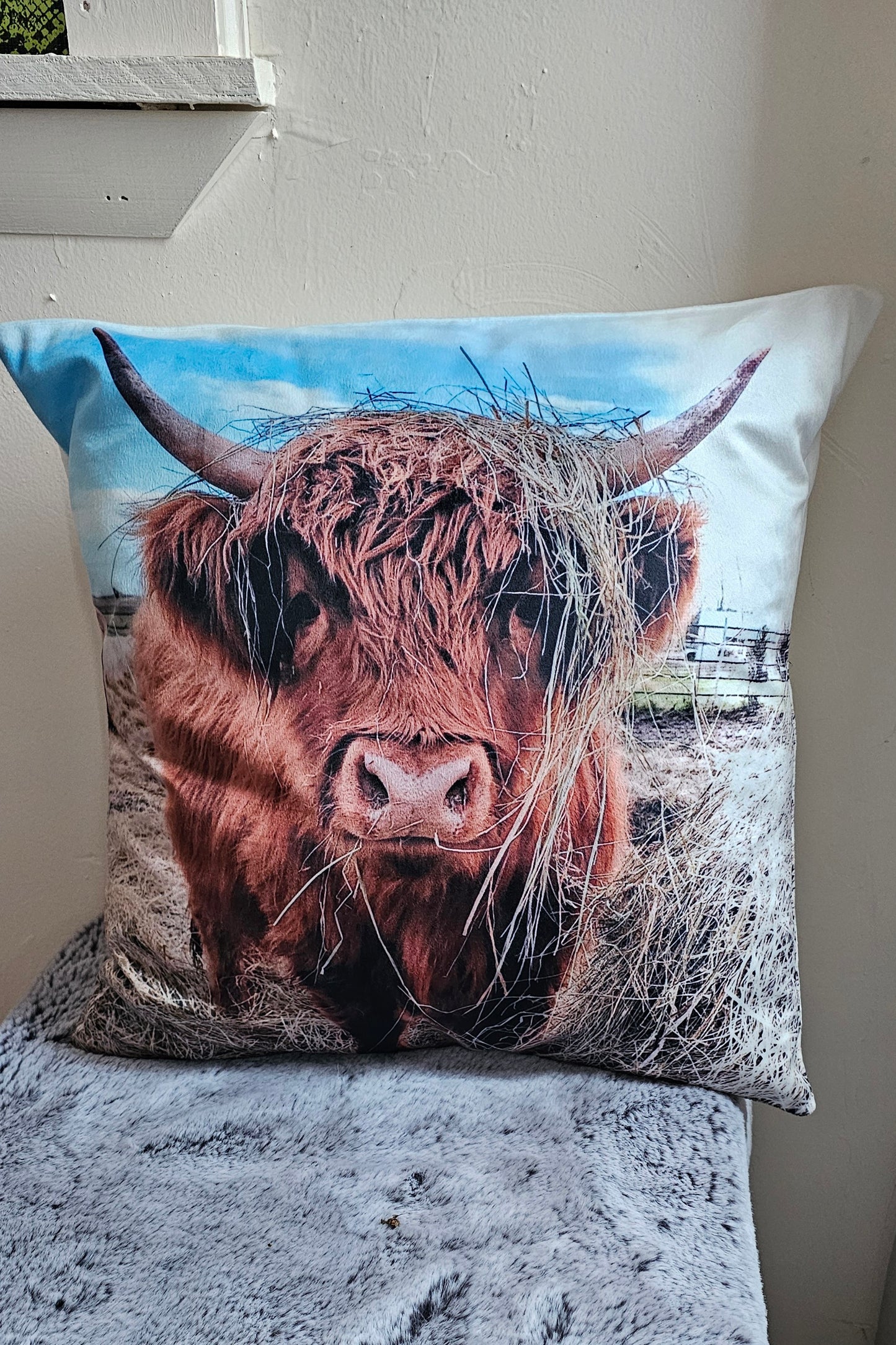 Baha Ranch CUSTOMIZABLE Velvety Soft Memorial Throw Pillow Case Made in America