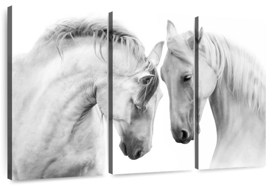 White Horse Couple Wall Art