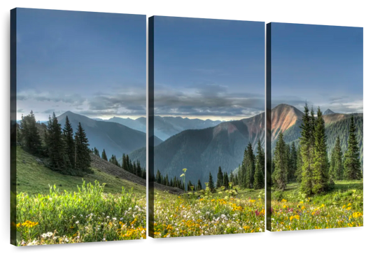 Rocky Mountain National Park Meadow Wall Art