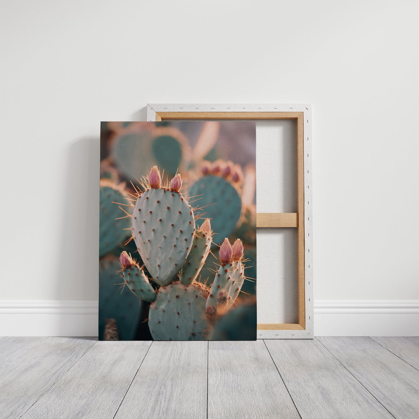 Cacti Embrace the Golden Dawn