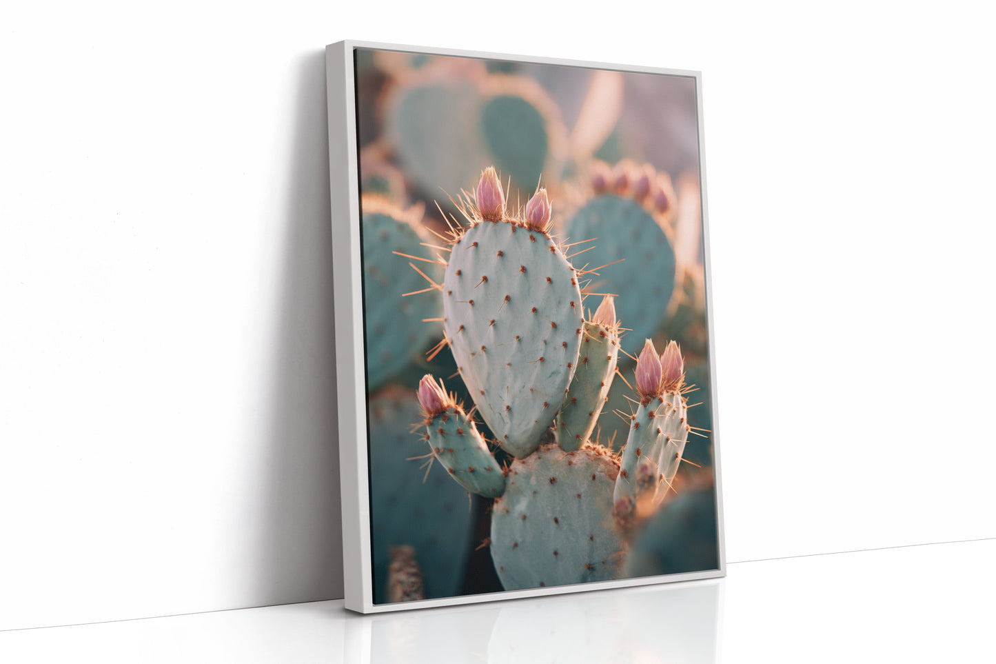 Cacti Embrace the Golden Dawn