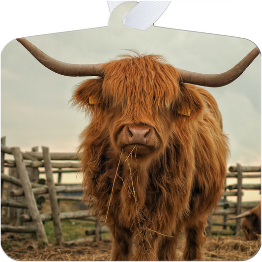 HIGHLAND COW Metal Ornament - cow, hairy, highland, ornament, scottish, western -  - Baha Ranch Western Wear