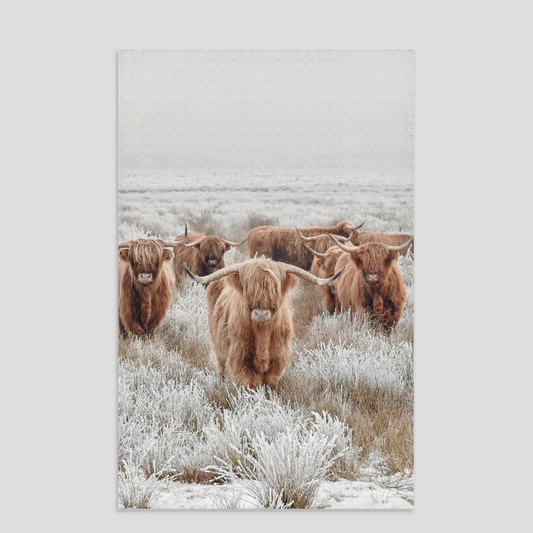 HIGHLAND COW HERD DISH TOWEL - COW, DISH, HIGHLAND, tea towel, towel, towels, western, western home decor, westerndecor -  - Baha Ranch Western Wear