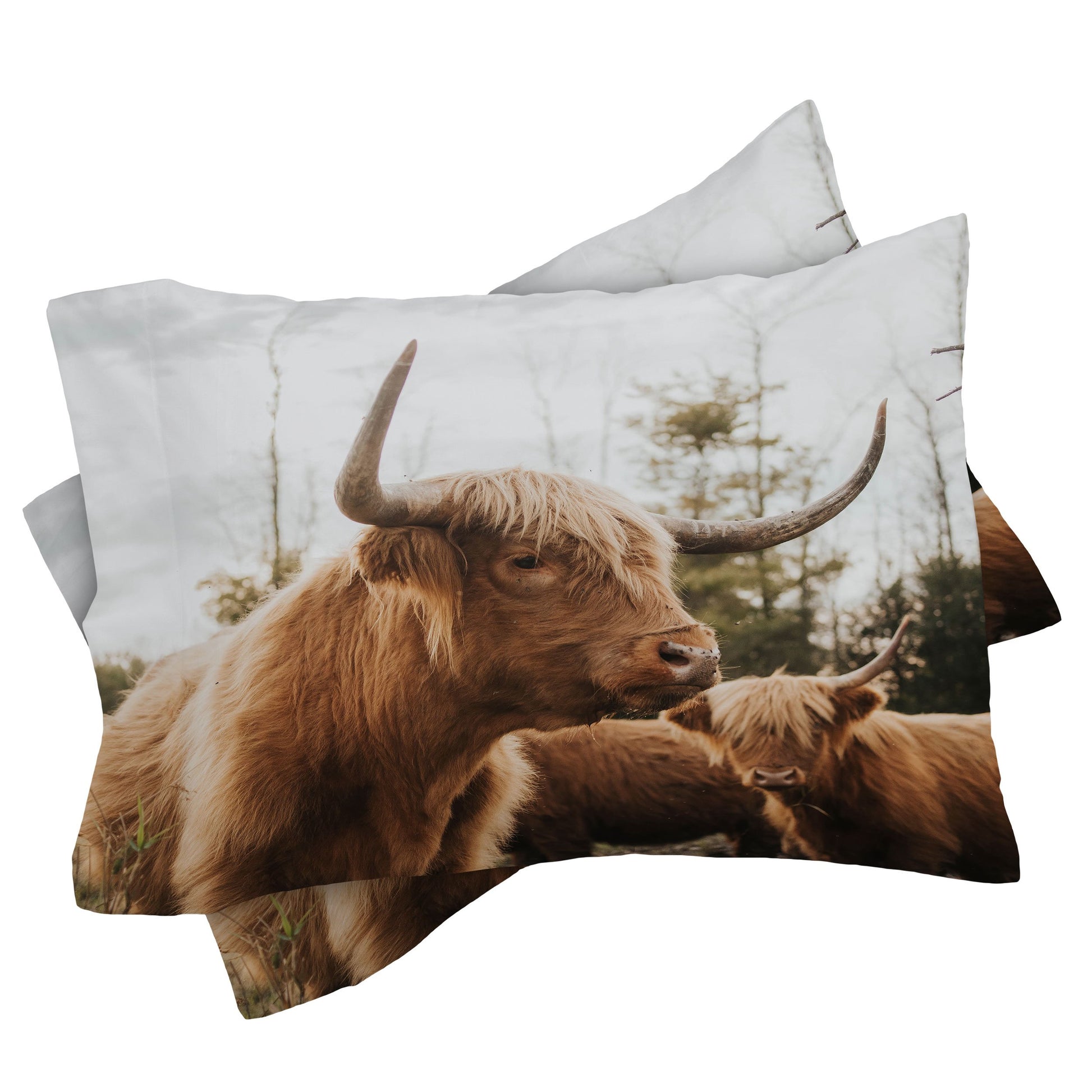 Statuesque Highland Cow Pillow Shams - bedding, blanket, case, cases, cow, cows, decor, highland, home, pillow, ranch, western -  - Baha Ranch Western Wear