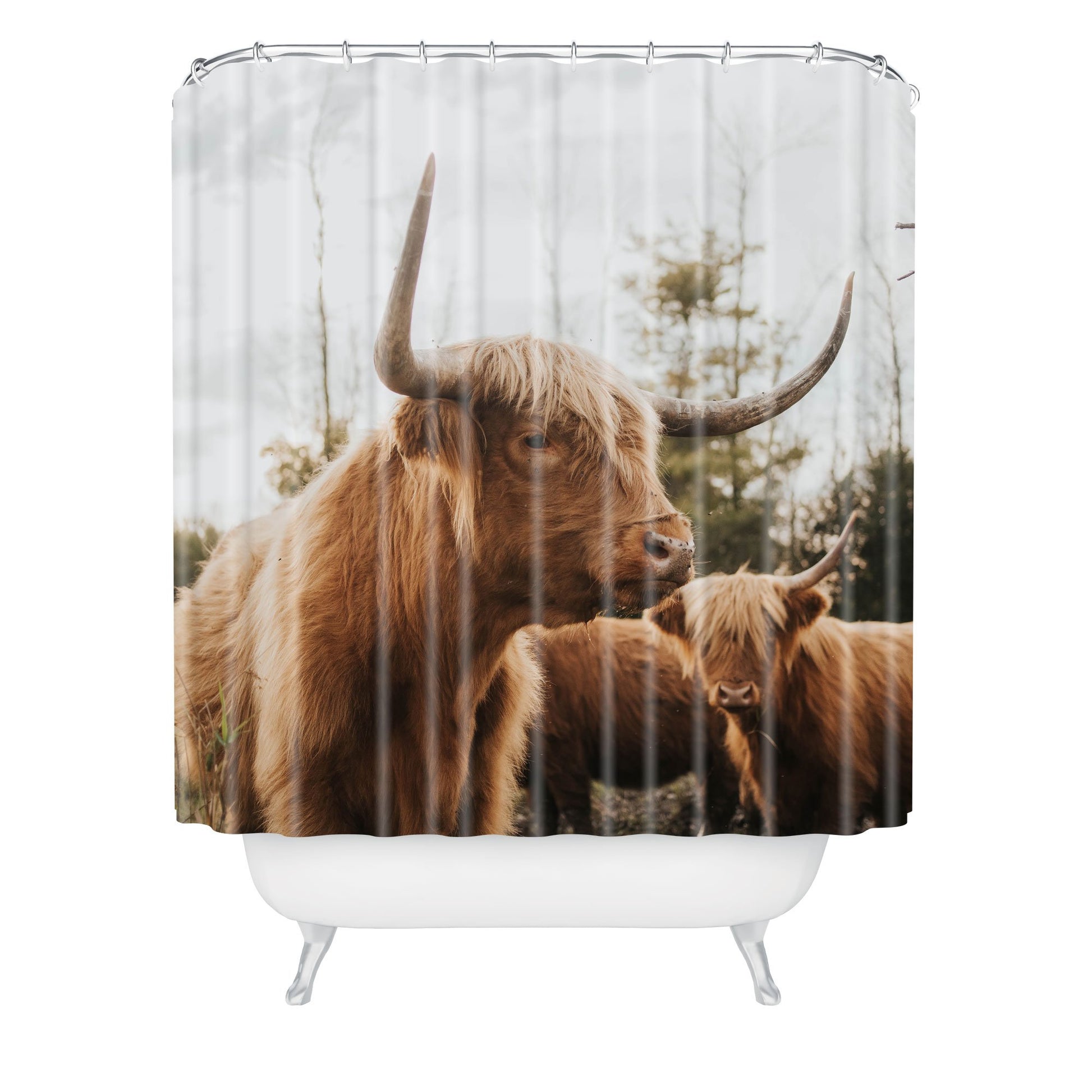 Statuesque Highland Cow Shower Curtain - bathroom, cow, curtain, decor, hairy, highland, home, ranch, rodeo, shower, western, westernhomedecor, westernshowercurtain -  - Baha Ranch Western Wear