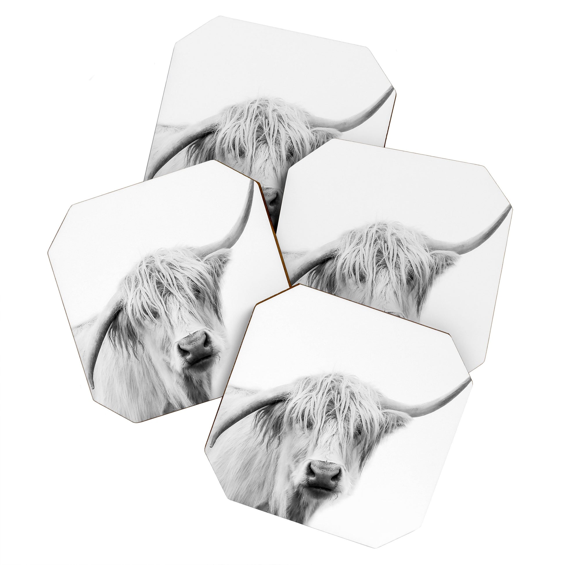 Highland Coaster Set - black and white, bull coaster, coaster, coaster set, coasters, cow, cows, cowss, cute cows, decoration, gift, gift idead, gift ideas, hairy cows, high land, high land cow, highland, highland cow, highland cows, highlandbull, highlandcattle, highlandcow, highlandcows, highlander, highlanders, highlands, home, home decor, photo, photography, rustic coasters, western, western home decor -  - Baha Ranch Western Wear