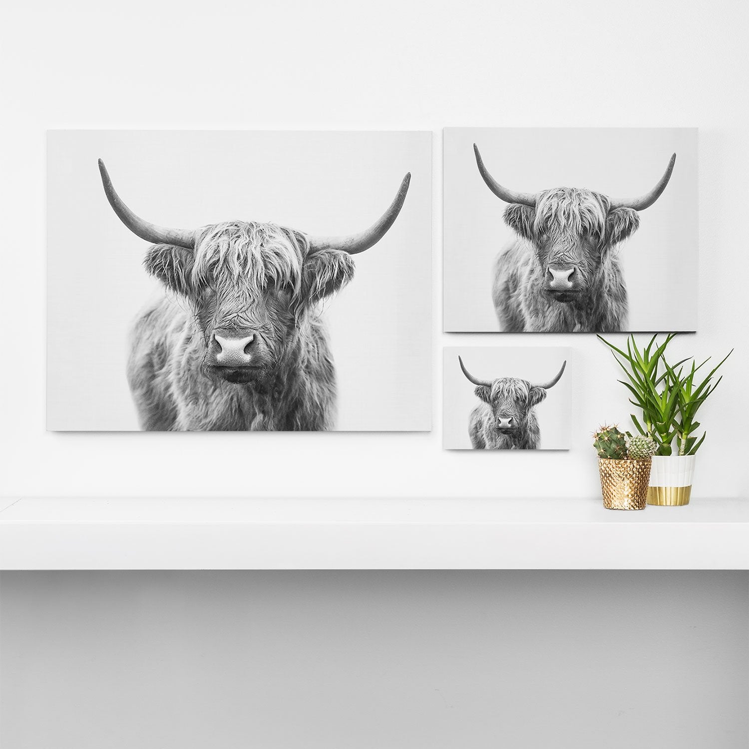 Highland Bull Canvas Print Choice of Size - animal, art, bedding, bedroom, bull, canvas, cattle, cow, farm, hairy, high land cow, highland, highland cow, highland cows, highlandbull, highlandcattle, highlandcow, highlandcows, highlander, highlanders, highlands, picture, pictures, southwestern, western -  - Baha Ranch Western Wear