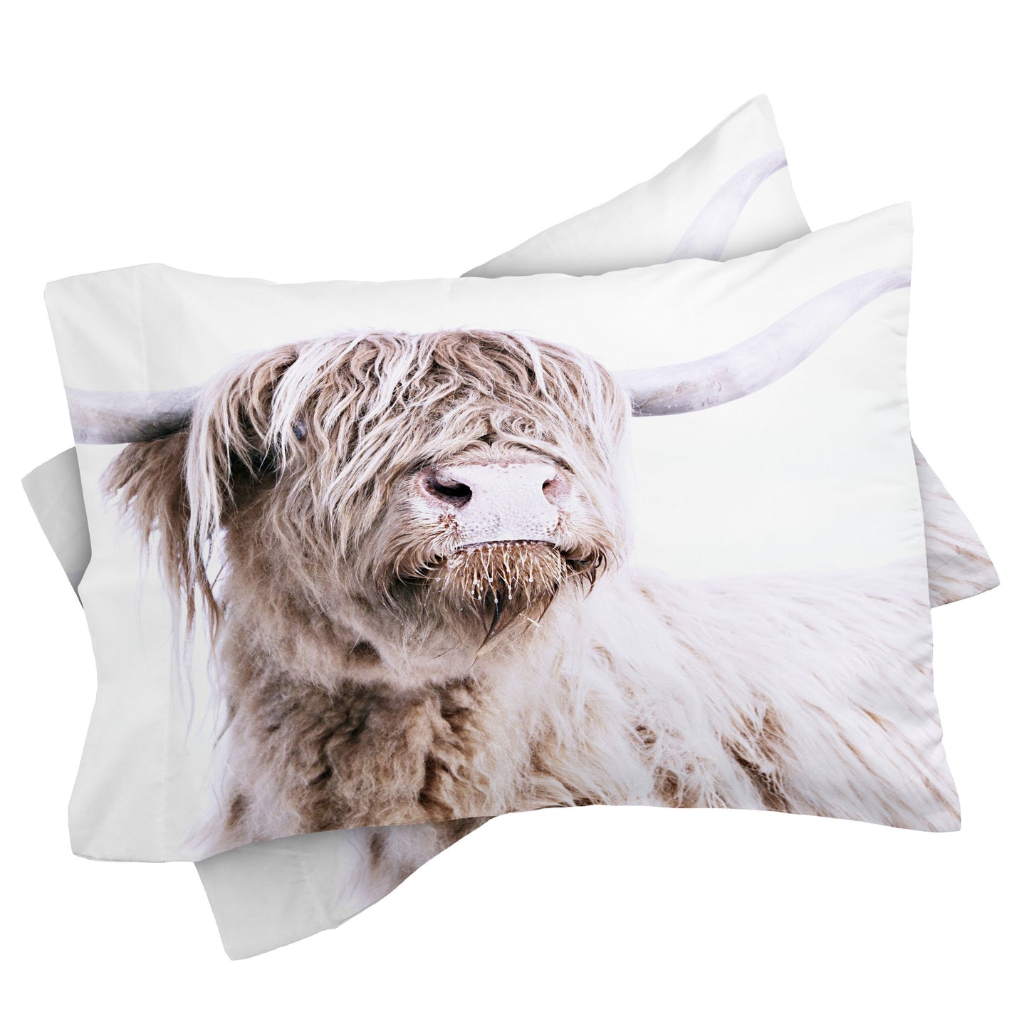 Highland Cow Pillow Shams - bedding, blanket, case, cases, cow, cow pillow, cows, decor, highland, highland cow, highland cows, highlandbull, highlandcattle, highlandcow, highlandcows, highlander, highlanders, highlands, home, pillow, pillow case, pillow sham, pillow shams, pillows, pillowsham, ranch, western -  - Baha Ranch Western Wear