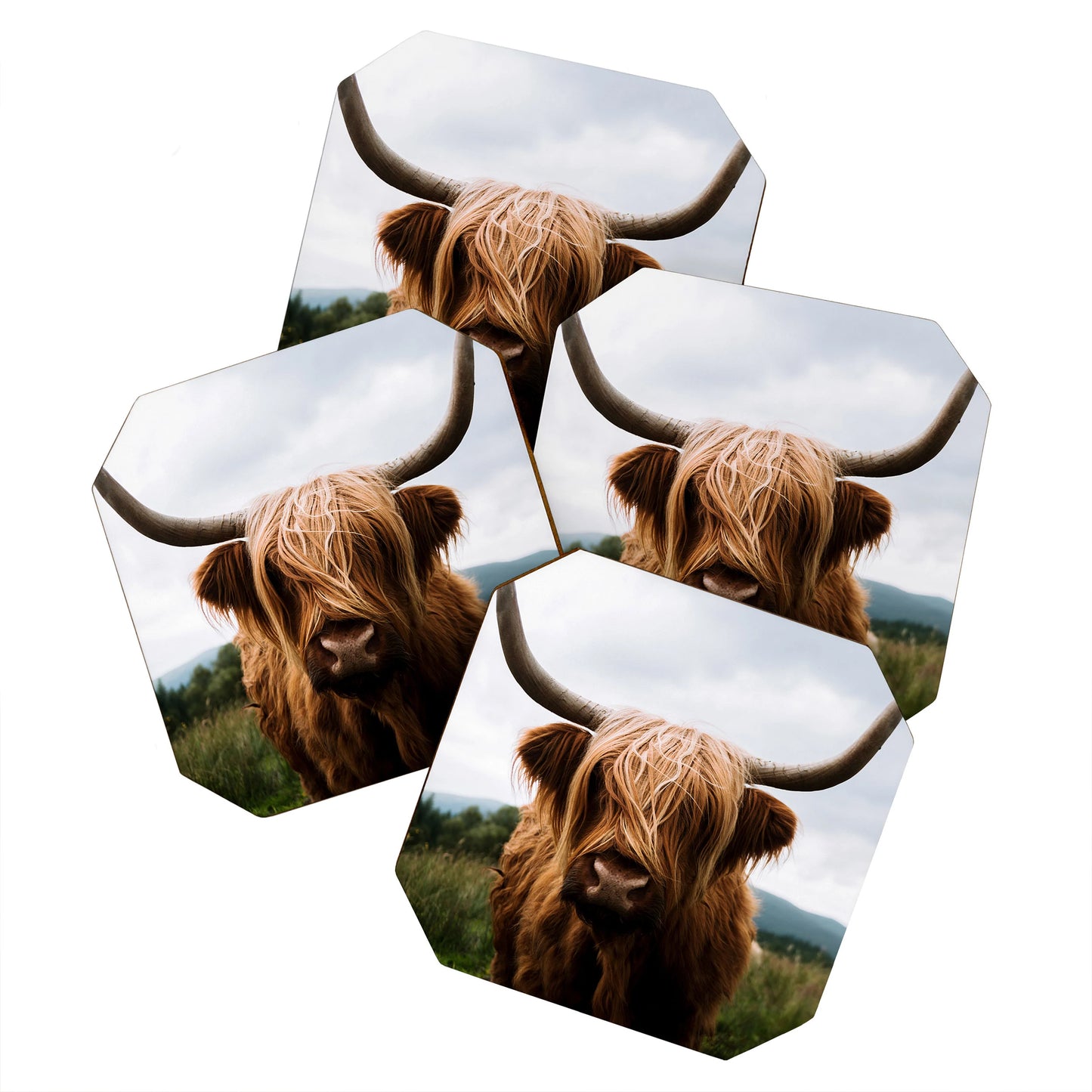 Scottish Highland Cattle Coaster Set - coaster, coasters, cow, cows, cute cows, decoration, gift, gift idead, gift ideas, high land, high land cow, highland, home, home decor, photo, photography, western, western home decor - scottish highland cattle - Baha Ranch Western Wear