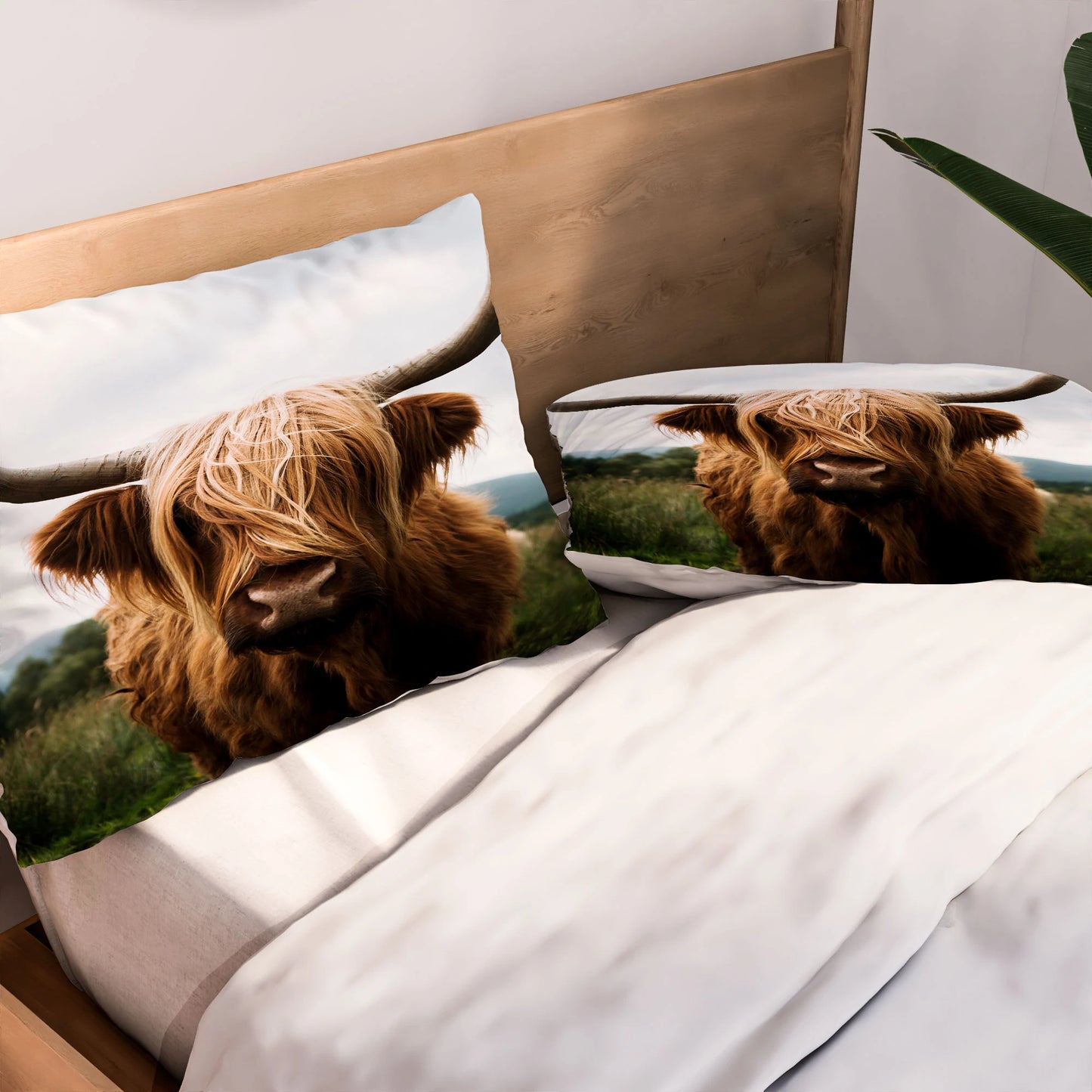 Scottish Highland Cattle Pillow Shams - bedding, blanket, bull, case, cases, cow, cows, cute cows, decor, hairy cows, highland, highland cow, highland cows, highlandbull, highlandcattle, highlandcow, highlandcows, highlander, highlanders, home, love cows, pillow, pillow case, pillow sham, pillow shams, pillows, pillowsham, ranch, western - scottish highland cattle - Baha Ranch Western Wear