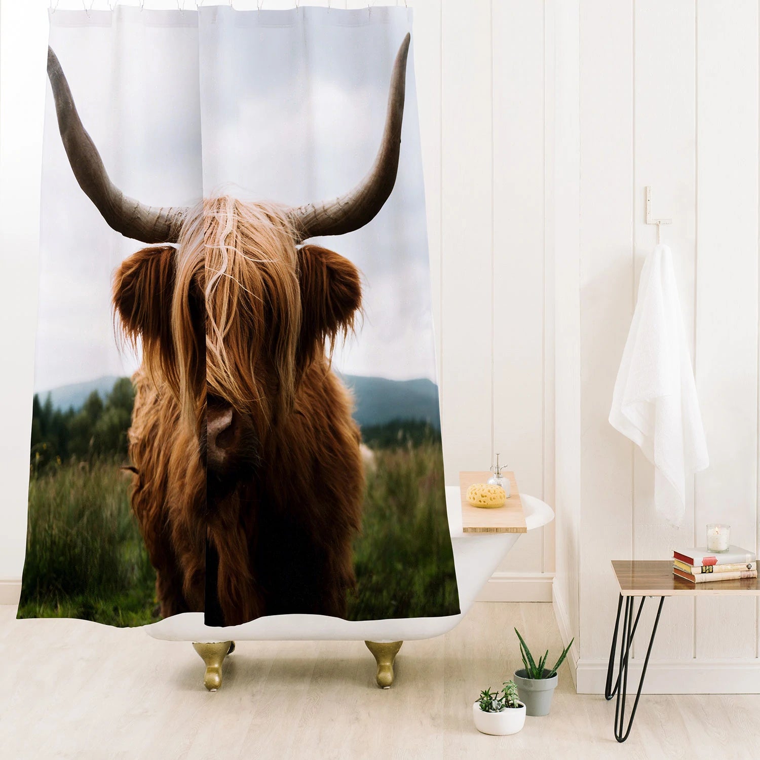 Scottish Highland Cattle Shower Curtain - bathroom, cow, curtain, decor, hairy, highland, home, ranch, rodeo, shower, western, westernhomedecor, westernshowercurtain - scottish highland cattle - Baha Ranch Western Wear