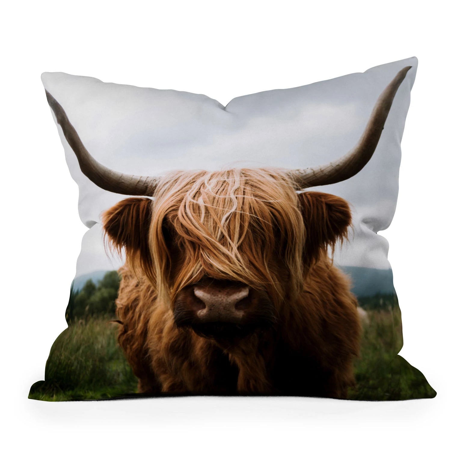 Scottish Highland Cattle  PILLOW Choice of Sizes - accent throw pill, accent throw pillow, boards, cow, cowboys, cowboyspillow, decor, highland, home, home decor, homedecor, pillow, pillows, ranch, ranch horse, ranchhome, rodeo, rodeohome, southwestern, southwesterndecor, southwesternhomedecor, throw, throw pillow, throw pillows, western, western decor, western home, westerndecor, westernhome, westernhomedecor - scottish highland cattle - Baha Ranch Western Wear