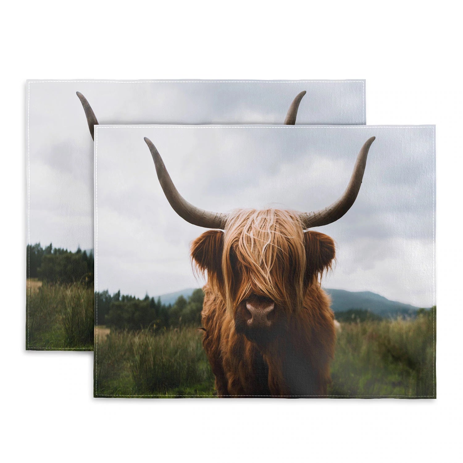 Scottish Highland Cattle Placemats -  - scottish highland cattle - Baha Ranch Western Wear